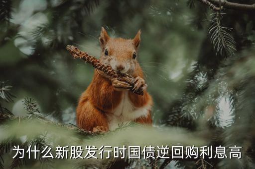 為什么新股發(fā)行時(shí)國債逆回購利息高