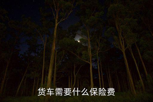 貨車需要什么保險費