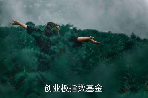 創(chuàng)業(yè)板指數(shù)基金