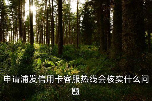 浦發(fā)信用卡問什么問題，浦發(fā)銀行信用卡的申請(qǐng)問題