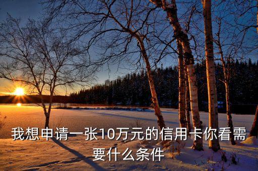 我想申請(qǐng)一張10萬元的信用卡你看需要什么條件
