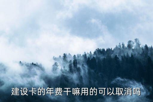 建設卡的年費干嘛用的可以取消嗎