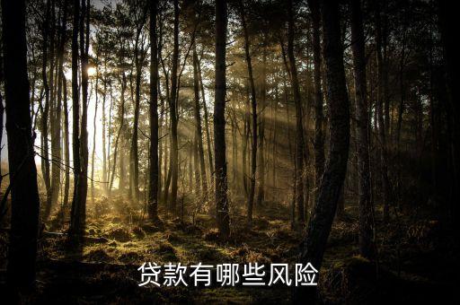 貸前風(fēng)險(xiǎn)都有什么用，如何控制貸前風(fēng)險(xiǎn)及信貸風(fēng)險(xiǎn)控制要點(diǎn)