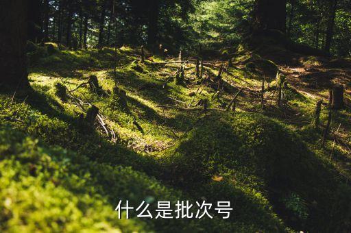 什么是批次號