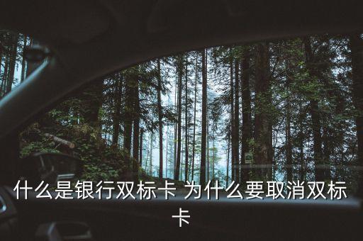 什么是單標(biāo)卡和雙標(biāo)卡，什么是雙標(biāo)識(shí)銀聯(lián)卡