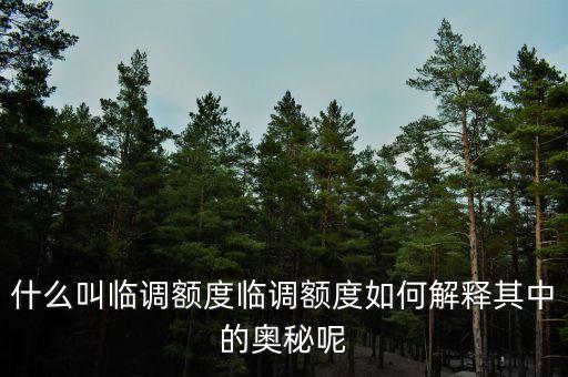 臨時(shí)額度調(diào)整是什么，什么叫臨調(diào)額度臨調(diào)額度如何解釋其中的奧秘呢