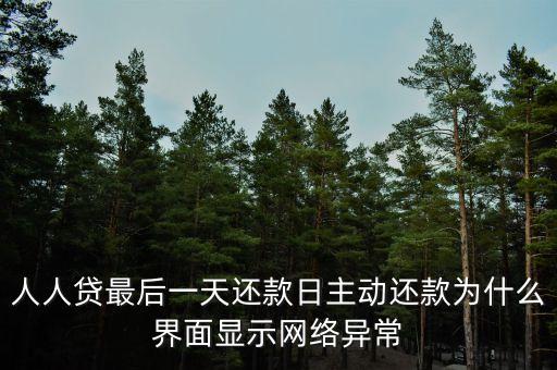 人人貸最后一天還款日主動還款為什么界面顯示網(wǎng)絡(luò)異常