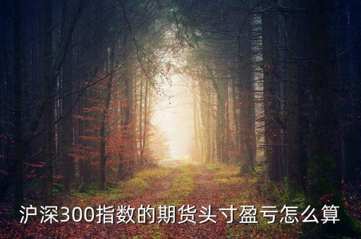 滬深300指數(shù)的期貨頭寸盈虧怎么算