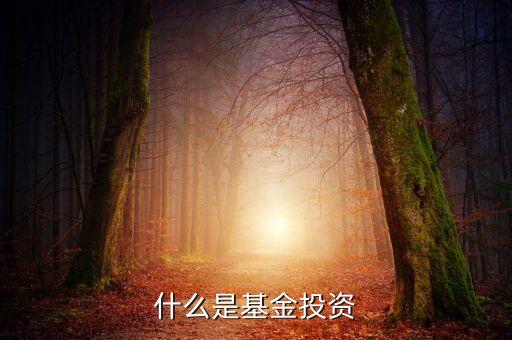 基金投資是指什么地方，什么是基金投資