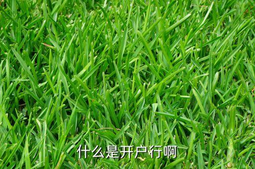 什么是開戶行啊