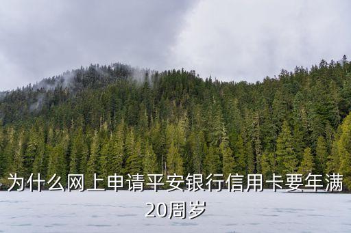 為什么網(wǎng)上申請平安銀行信用卡要年滿20周歲