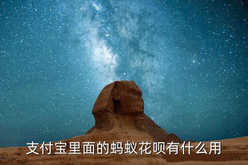 支付寶里面的螞蟻花唄有什么用
