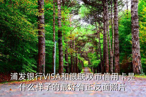 浦發(fā)信用卡長了什么樣，浦發(fā)銀行VISA和銀聯(lián)雙幣信用卡是什么樣子的最好有正反面照片