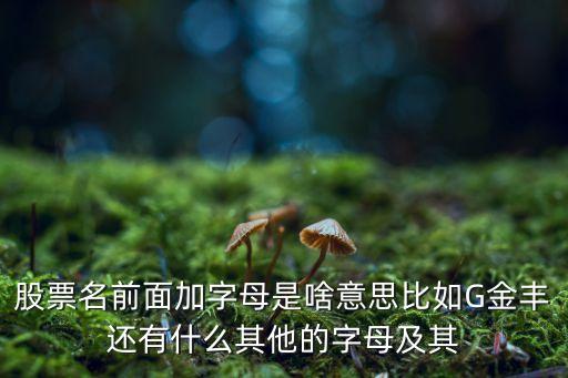 股票名前面加字母是啥意思比如G金豐還有什么其他的字母及其