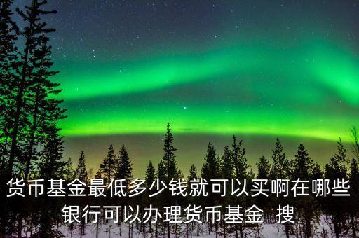 貨幣基金最低多少錢就可以買啊在哪些銀行可以辦理貨幣基金  搜
