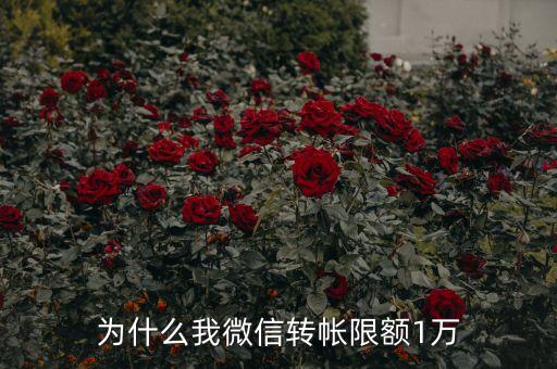 為什么我微信轉(zhuǎn)帳限額1萬