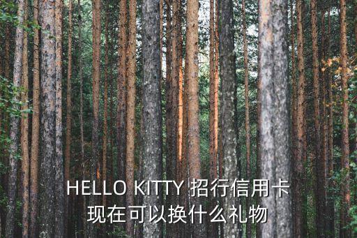 招商kitty卡有什么權(quán)益，HELLO KITTY 招行信用卡現(xiàn)在可以換什么禮物