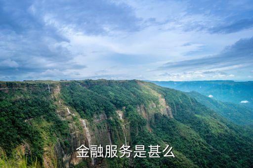 銀行的金融服務(wù)是什么意思，銀行金融服務(wù) 主要指哪些事