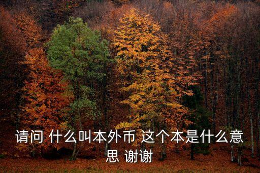 請問 什么叫本外幣 這個本是什么意思 謝謝