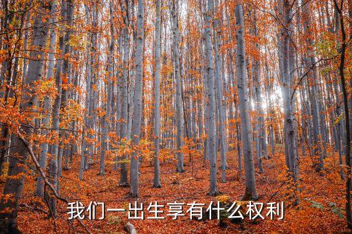 生日權(quán)益都有什么，出生時(shí)我享有哪些權(quán)利