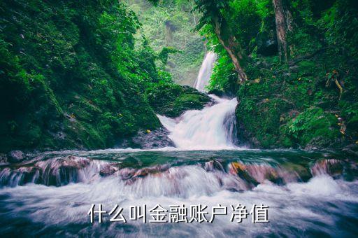 什么叫金融賬戶凈值