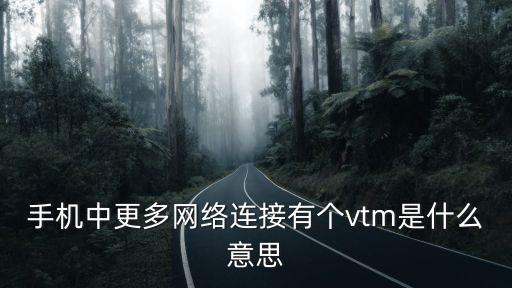 手機(jī)中更多網(wǎng)絡(luò)連接有個(gè)vtm是什么意思