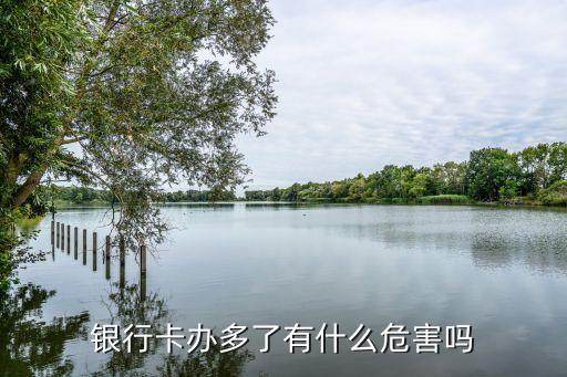 銀行卡辦多了有什么危害嗎