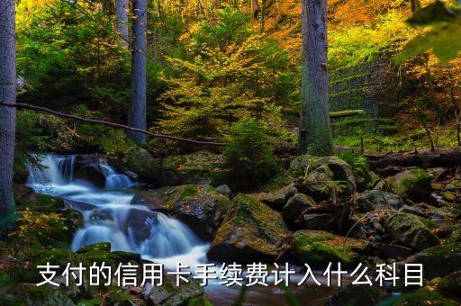 支付的信用卡手續(xù)費(fèi)計(jì)入什么科目