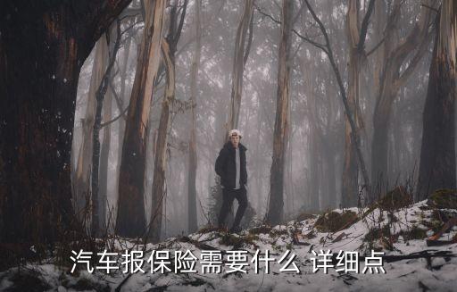 汽車走保險需要帶什么資料，汽車去辦理保險需要什么材料
