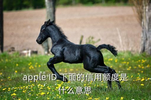 apple ID 下面的信用額度是什么意思