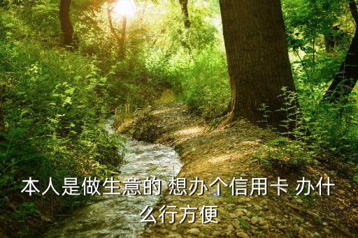 本人是做生意的 想辦個(gè)信用卡 辦什么行方便