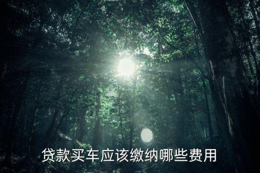 貸款買車應(yīng)該繳納哪些費用