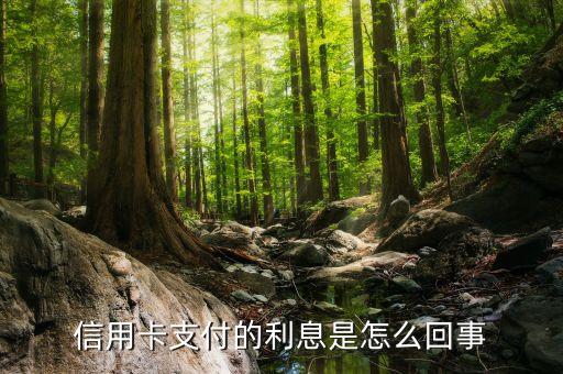 信用卡支付的利息是怎么回事