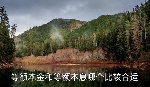 等額本金和等額本息哪個(gè)比較合適