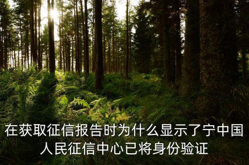 征信報(bào)告授權(quán)的身份驗(yàn)證碼是什么情況，個(gè)人征信身份驗(yàn)證碼是什么