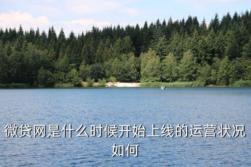 微貸網(wǎng)是什么時候開始上線的運(yùn)營狀況如何