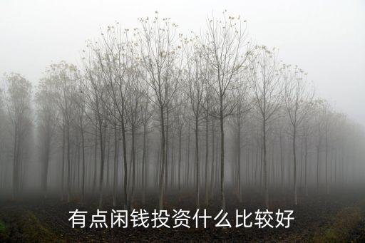 我想投資什么好處，現(xiàn)在投資什么比較好呢