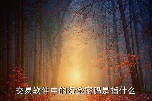 交易軟件中的資金密碼是指什么
