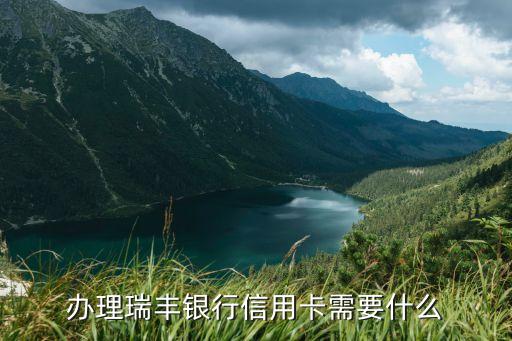 瑞豐銀行辦卡需帶什么，辦理瑞豐銀行信用卡需要什么
