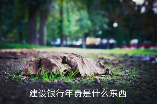 建設(shè)銀行年費(fèi)有什么用，建設(shè)卡的年費(fèi)干嘛用的可以取消嗎