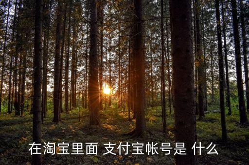 淘寶用手機(jī)銀行支付寶賬號(hào)是什么情況，在淘寶網(wǎng)上買好東西用網(wǎng)銀付款時(shí)上邊說(shuō)支付寶帳號(hào)是什么意思