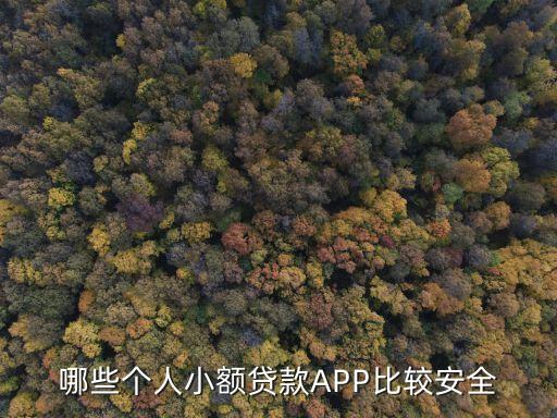 哪些個(gè)人小額貸款A(yù)PP比較安全
