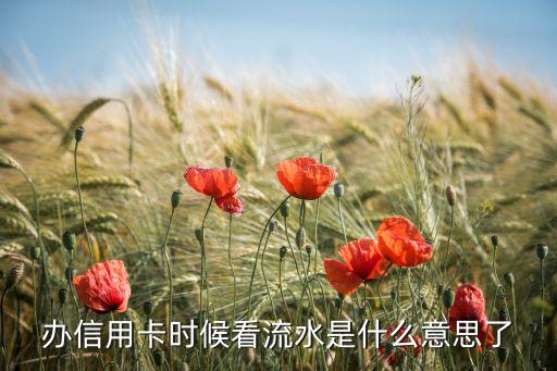 信用卡流水是什么意思是什么意思啊，辦信用卡時(shí)候看流水是什么意思了