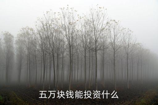 五萬塊錢能投資什么