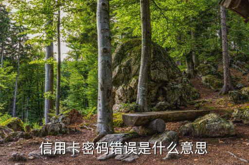 信用卡密碼錯(cuò)誤是什么意思
