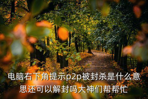 電腦右下角提示p2p被封殺是什么意思還可以解封嗎大神們幫幫忙