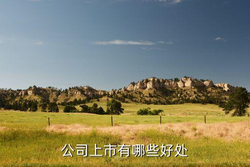 幫企業(yè)上市的叫什么好處，公司上市有哪些好處