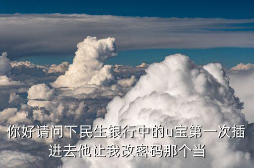 民生銀行的u寶pin碼是什么，民生銀行怎么會有pin碼