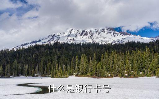 什么是銀行卡號
