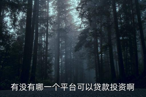 有沒有哪一個平臺可以貸款投資啊